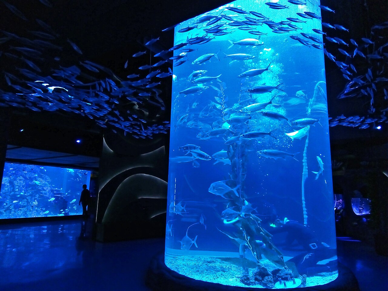 Jakarta AQuarium Safari